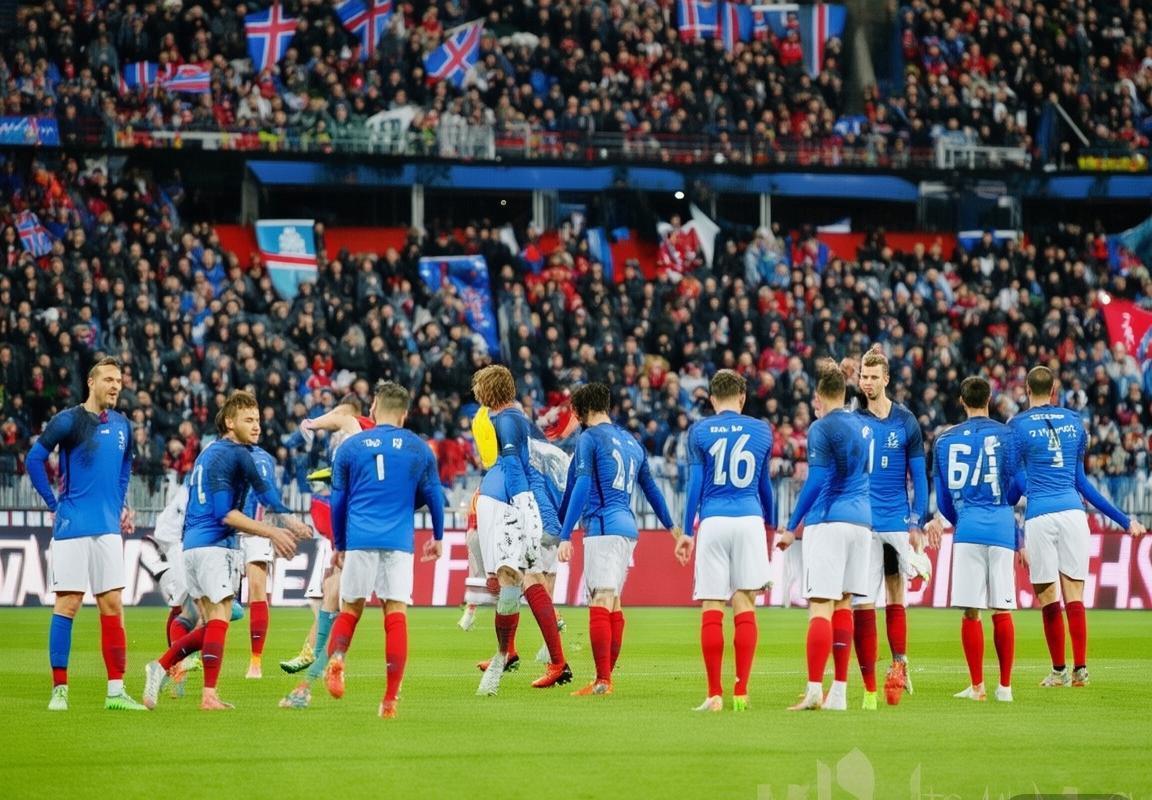 法国vs冰岛友谊赛：技术对决与团队精神的碰撞